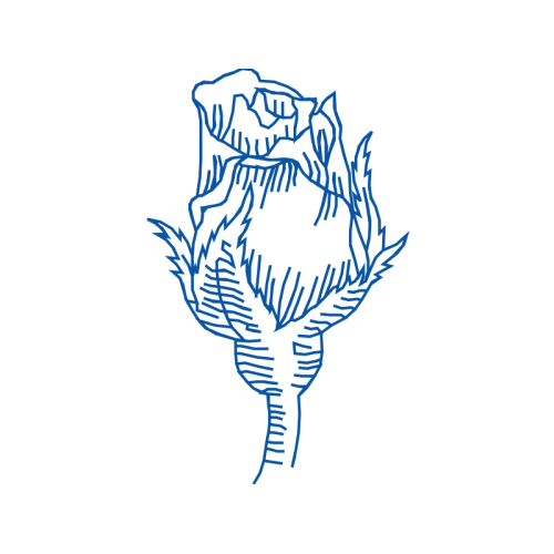 Drawing Flowers Drawing Flowers