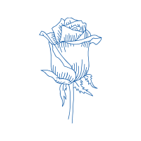 Drawing Flowers Drawing Flowers