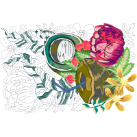 Drawing Flowers Drawing Flowers