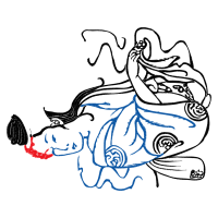 Drawing Flowers Drawing Flowers