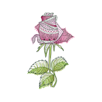 Drawing Flowers Drawing Flowers