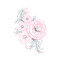 Drawing Flowers Drawing Flowers