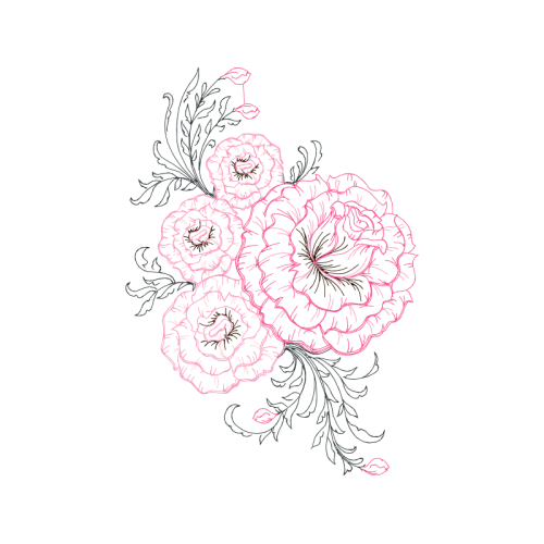 Drawing Flowers Drawing Flowers