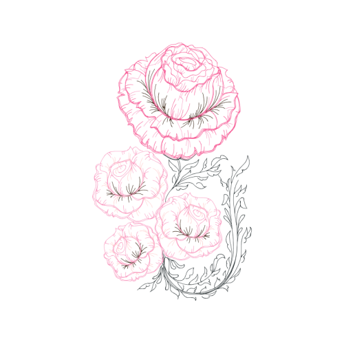 Drawing Flowers Drawing Flowers