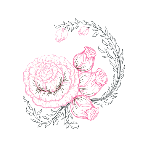 Drawing Flowers Drawing Flowers