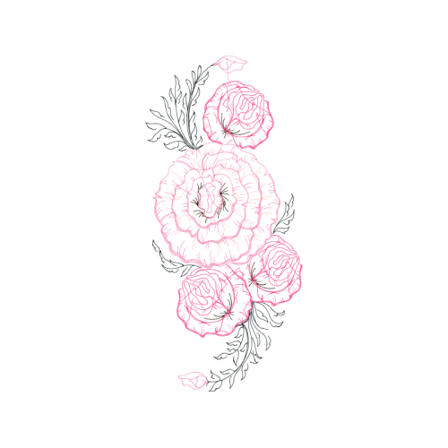 Drawing Flowers Drawing Flowers