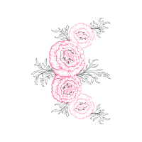 Drawing Flowers Drawing Flowers