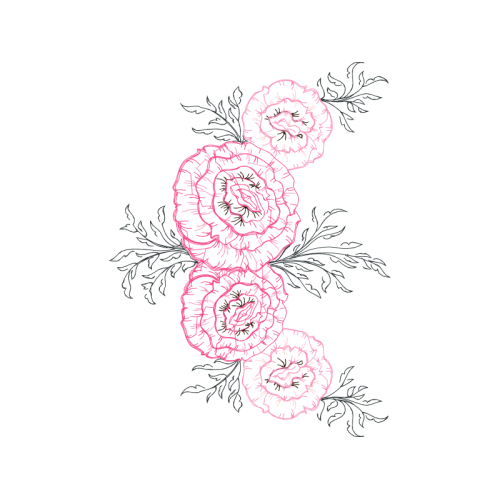 Drawing Flowers Drawing Flowers