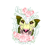 Drawing Flowers Drawing Flowers