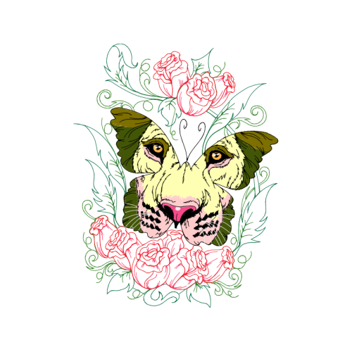 Drawing Flowers Drawing Flowers