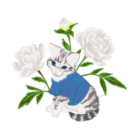 European Shorthair Flowers European Shorthair Flowers