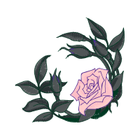 Evergreen Rose Flowers Evergreen Rose Flowers