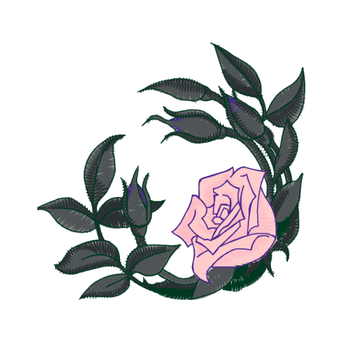 Evergreen Rose Flowers