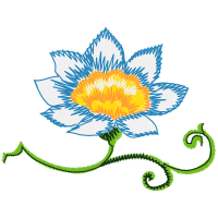 Evergreen Rose Flowers Evergreen Rose Flowers