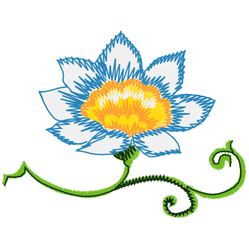 Evergreen Rose Flowers Evergreen Rose Flowers