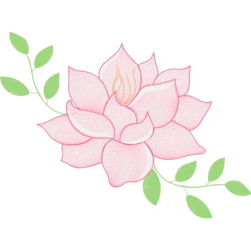 Evergreen Rose Flowers Evergreen Rose Flowers