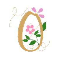 Evergreen Rose Flowers Evergreen Rose Flowers