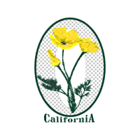 Farnsworth Munsell 100 Hue Test Flowers Farnsworth Munsell 100 Hue Test Flowers