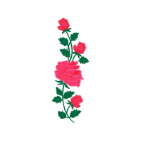 Flower Flowers Flower Flowers