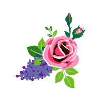 Flower Bouquet Flowers Flower Bouquet Flowers