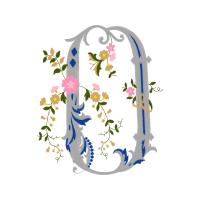 Flower Flowers Flower Flowers