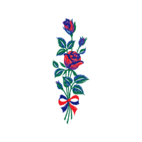 Flower Flowers Flower Flowers