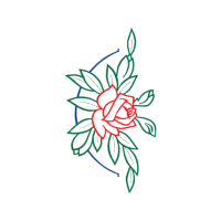 Flower Flowers Flower Flowers