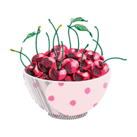 Flower Flowers Flower Flowers