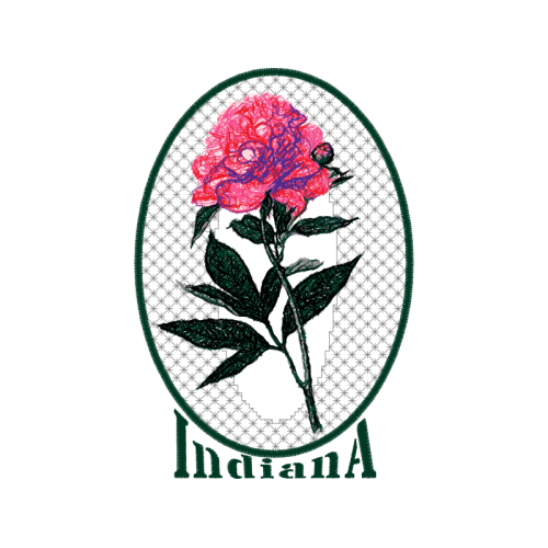 Flower Flowers Flower Flowers