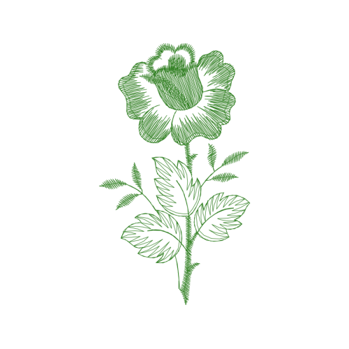 Flower Flowers Flower Flowers