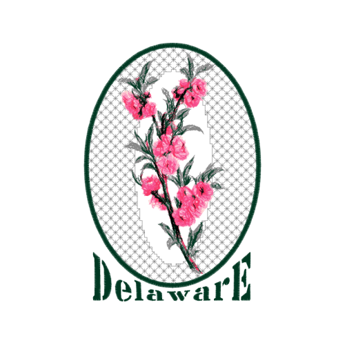 Flower Flowers Flower Flowers