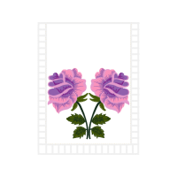 Flower Flowers Flower Flowers