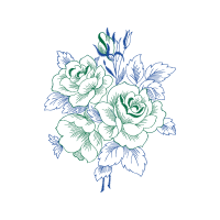 Flower Flowers Flower Flowers