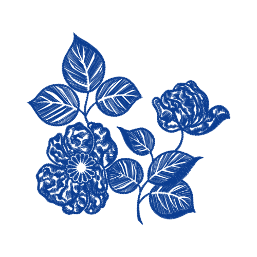 Flower Flowers Flower Flowers