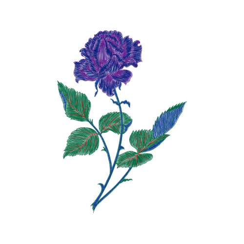 Flower Flowers Flower Flowers