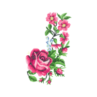 Flower Flowers Flower Flowers