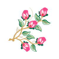 Flower Flowers Flower Flowers