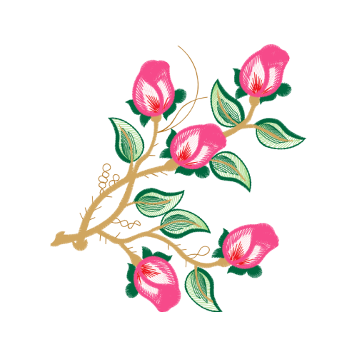 Flower Flowers Flower Flowers