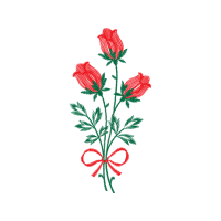 Flower Flowers Flower Flowers