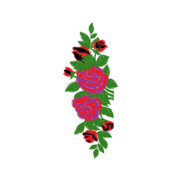 Flower Flowers Flower Flowers