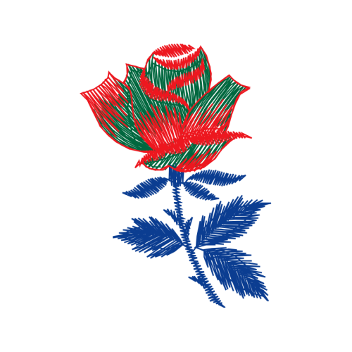 Flower Flowers Flower Flowers