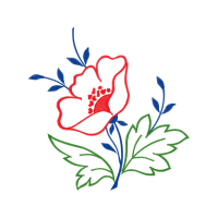 Flower Flowers Flower Flowers