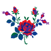 Flower Flowers Flower Flowers