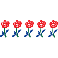 Flower Flowers Flower Flowers