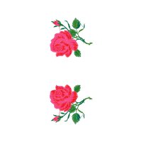 Flower Flowers Flower Flowers