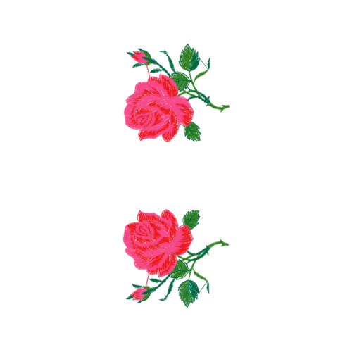 Flower Flowers Flower Flowers