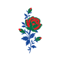 Flower Flowers Flower Flowers