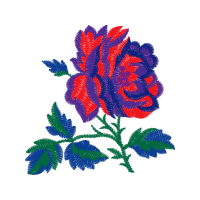 Flower Flowers Flower Flowers