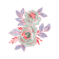 Flower Flowers Flower Flowers