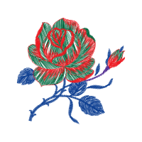 Flower Flowers Flower Flowers